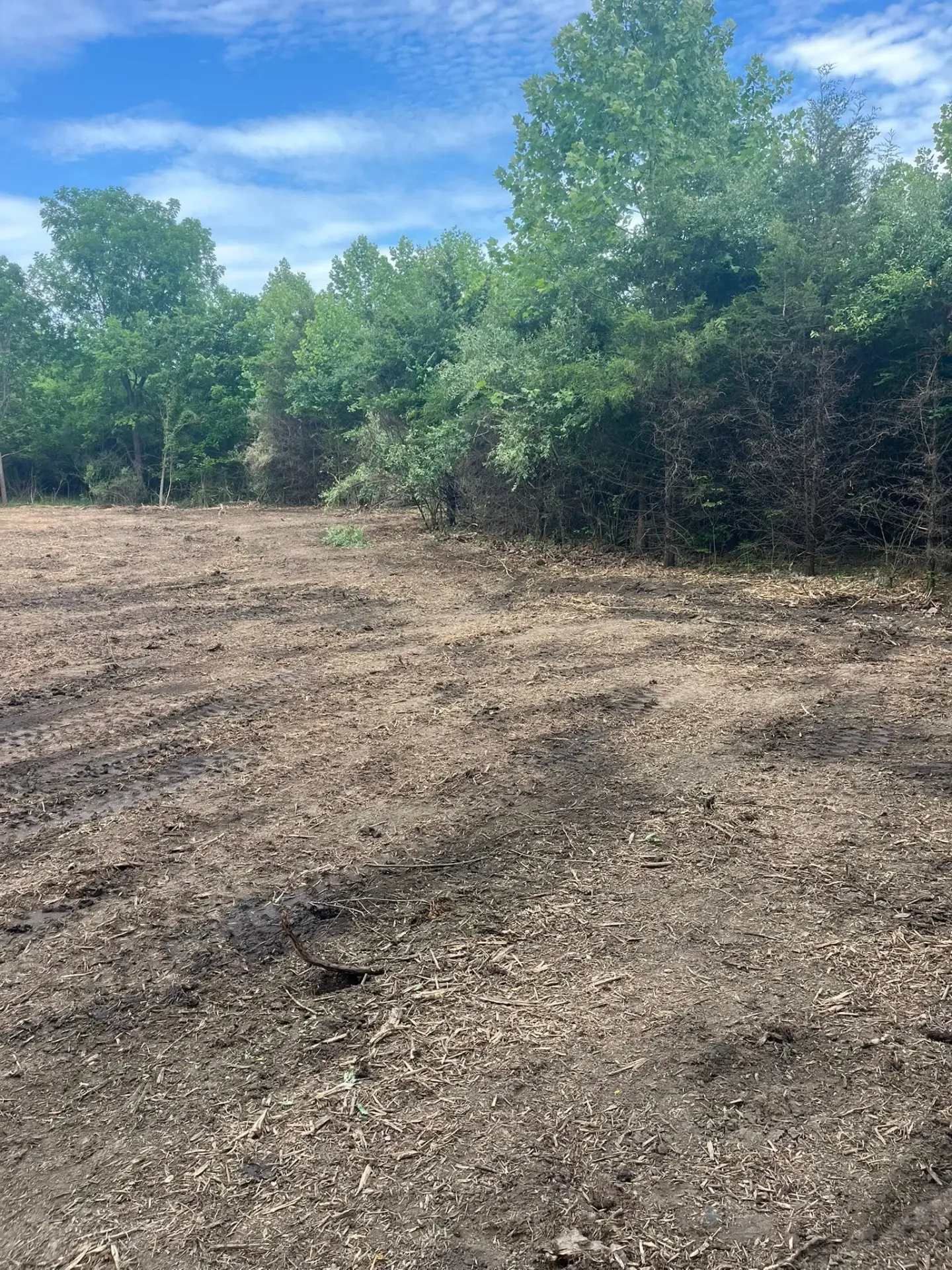A cleared field edge ready for its next chapter