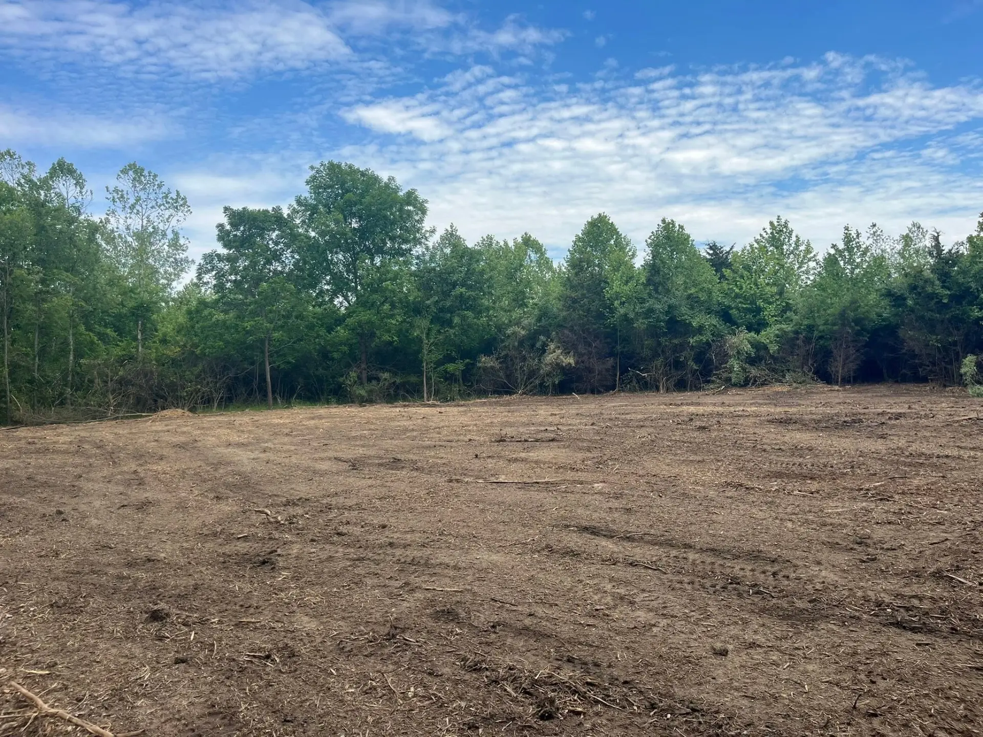 An open cleared field